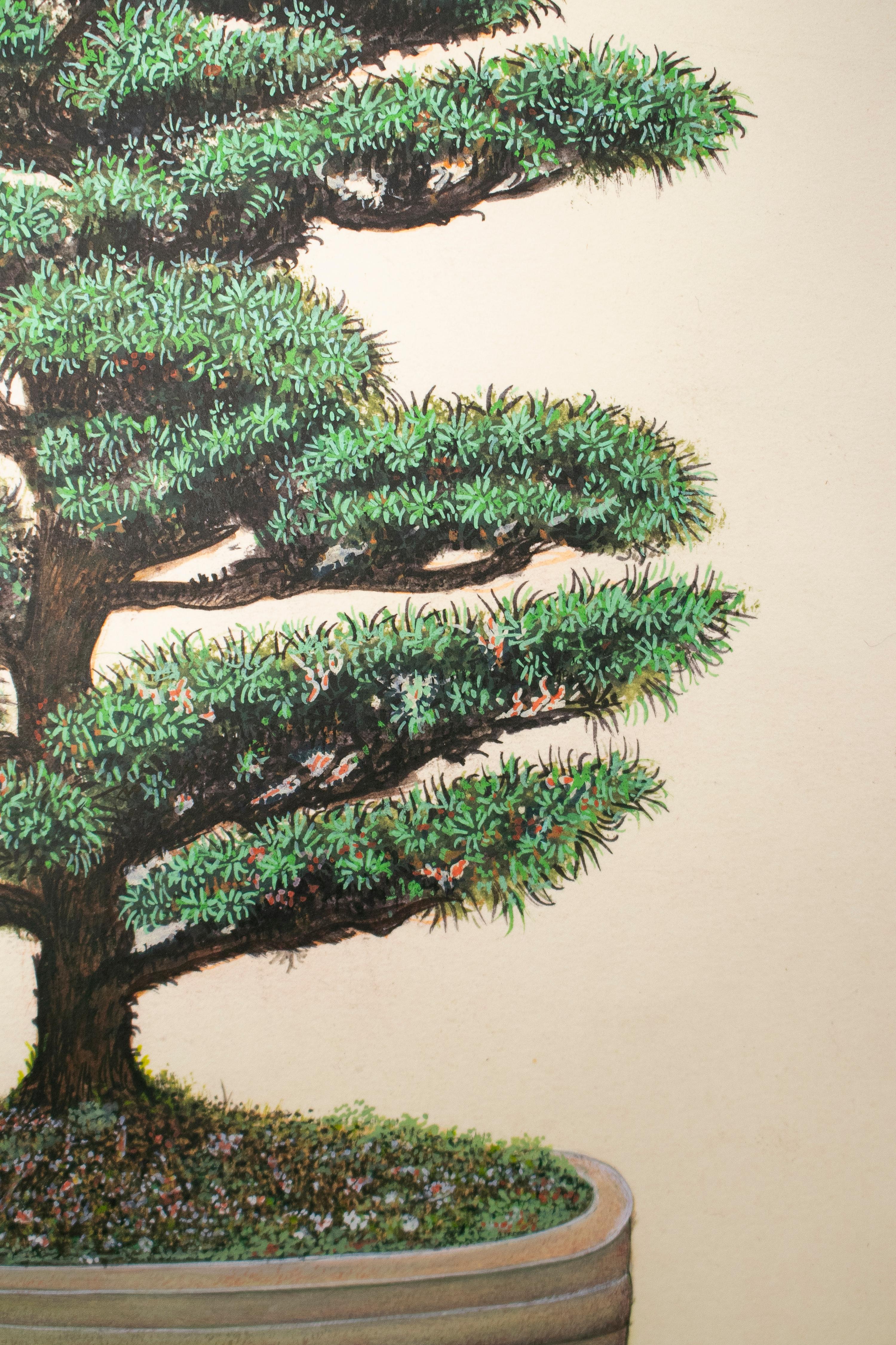 1970s Indian Bonsai Paper Drawing For Sale 1