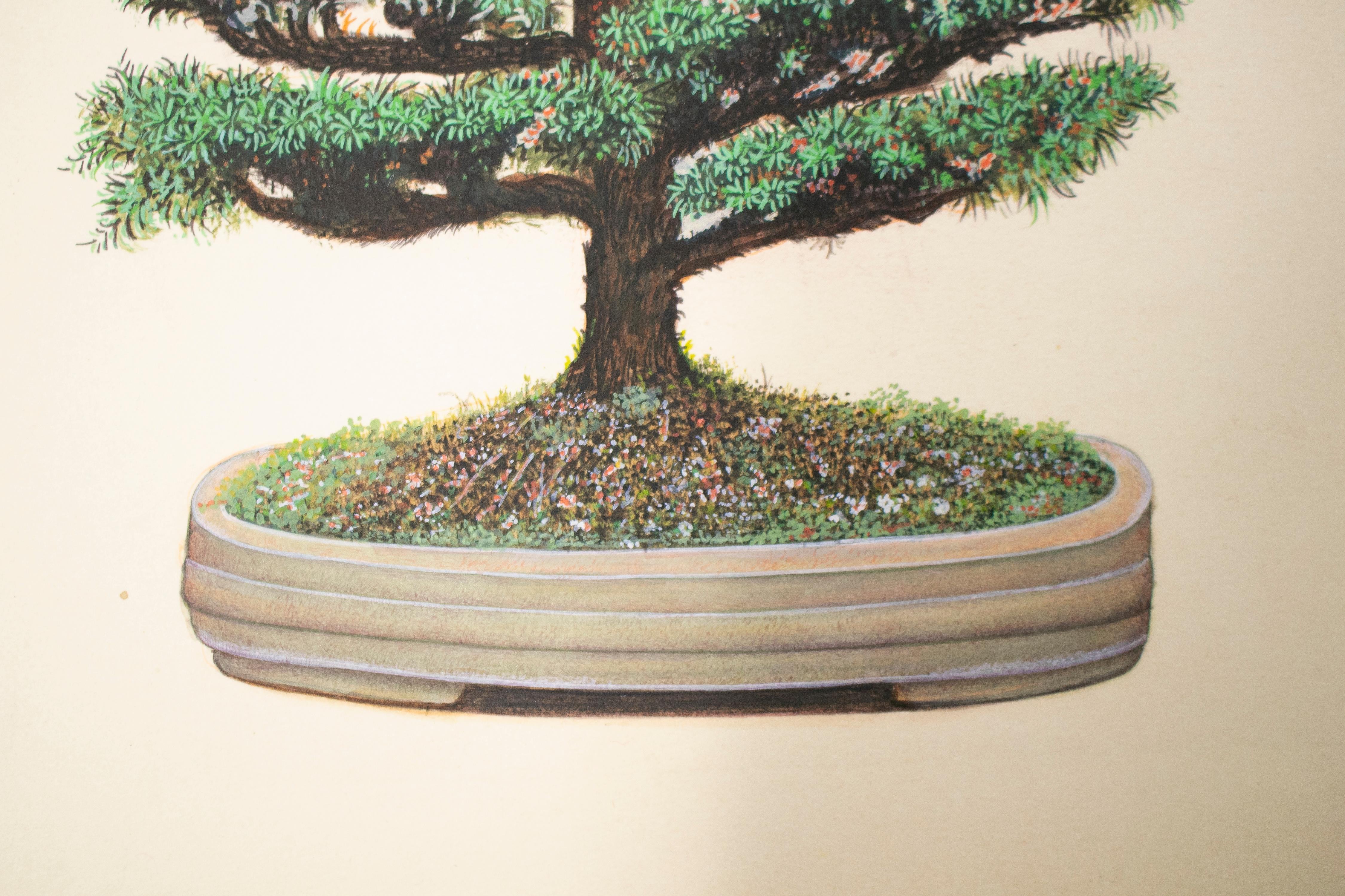 1970er Jahre Indischer Bonsai Papier Zeichnung im Angebot 3