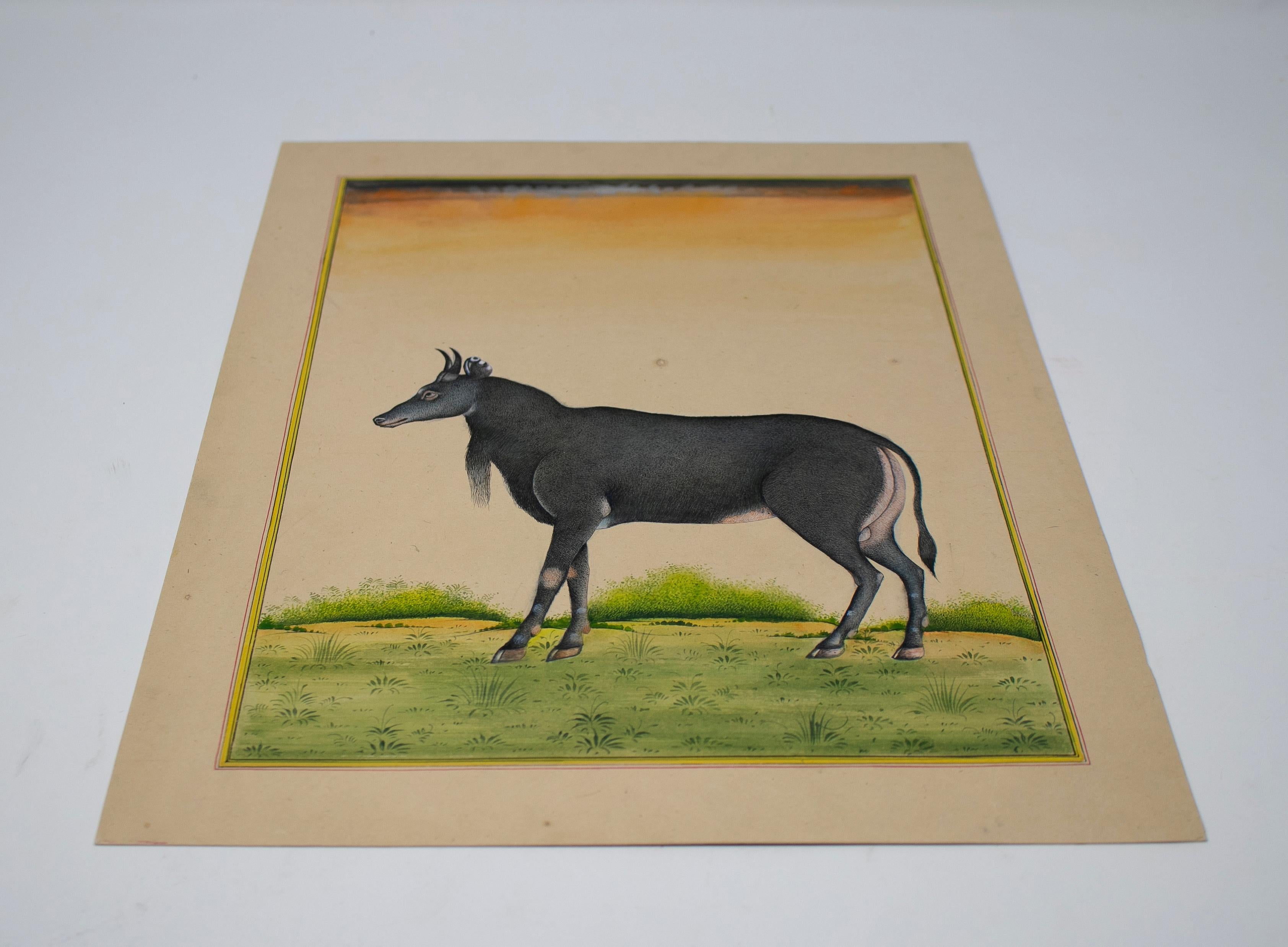 1970s Indian paper drawing of a goat, part of a large private collection.

Dimensions with frame: 35 x 26 cm.