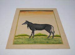Disegno di capra su carta indiana degli anni '70