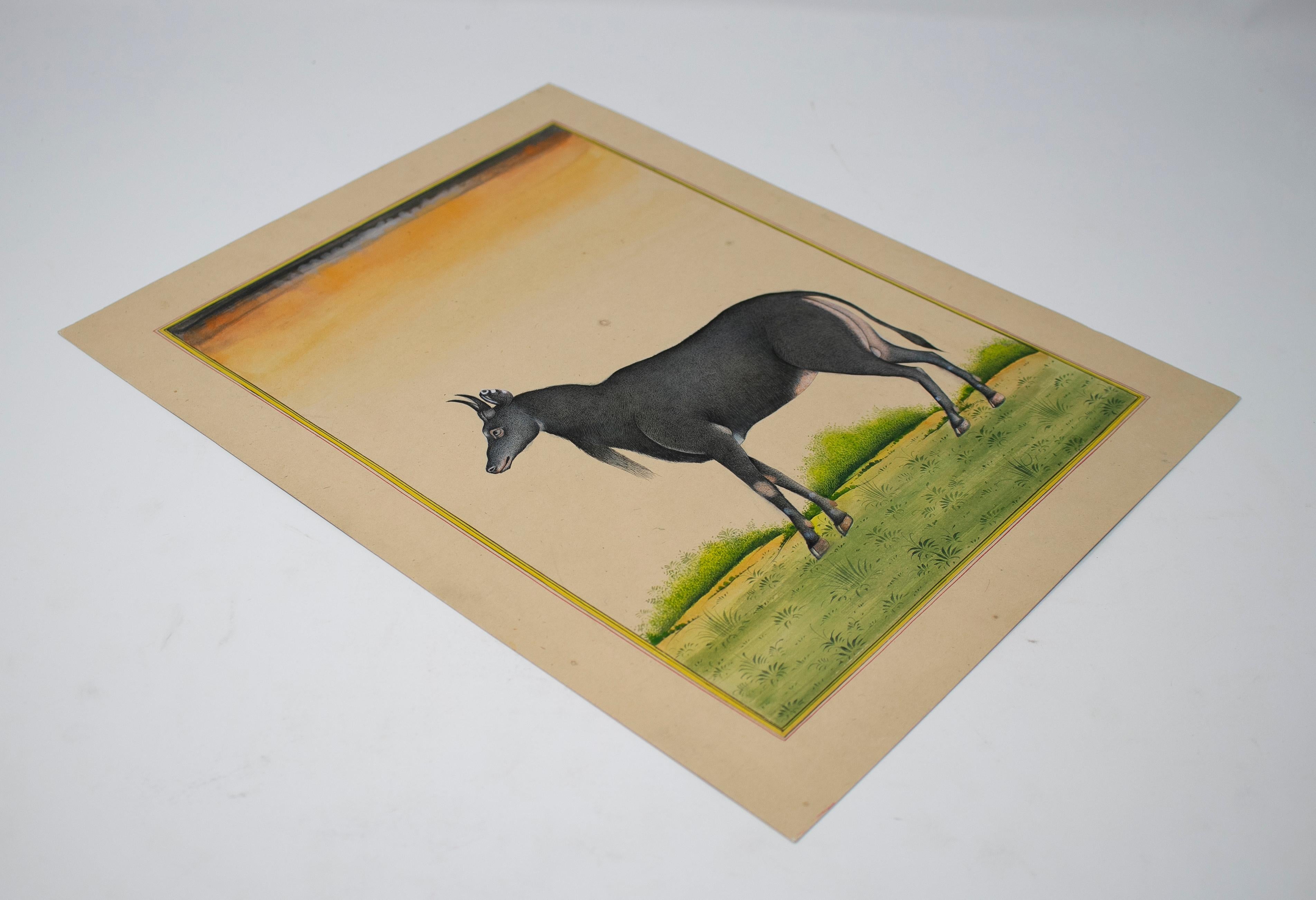 Indien dessin sur papier indien des années 1970 représentant une chèvre en vente