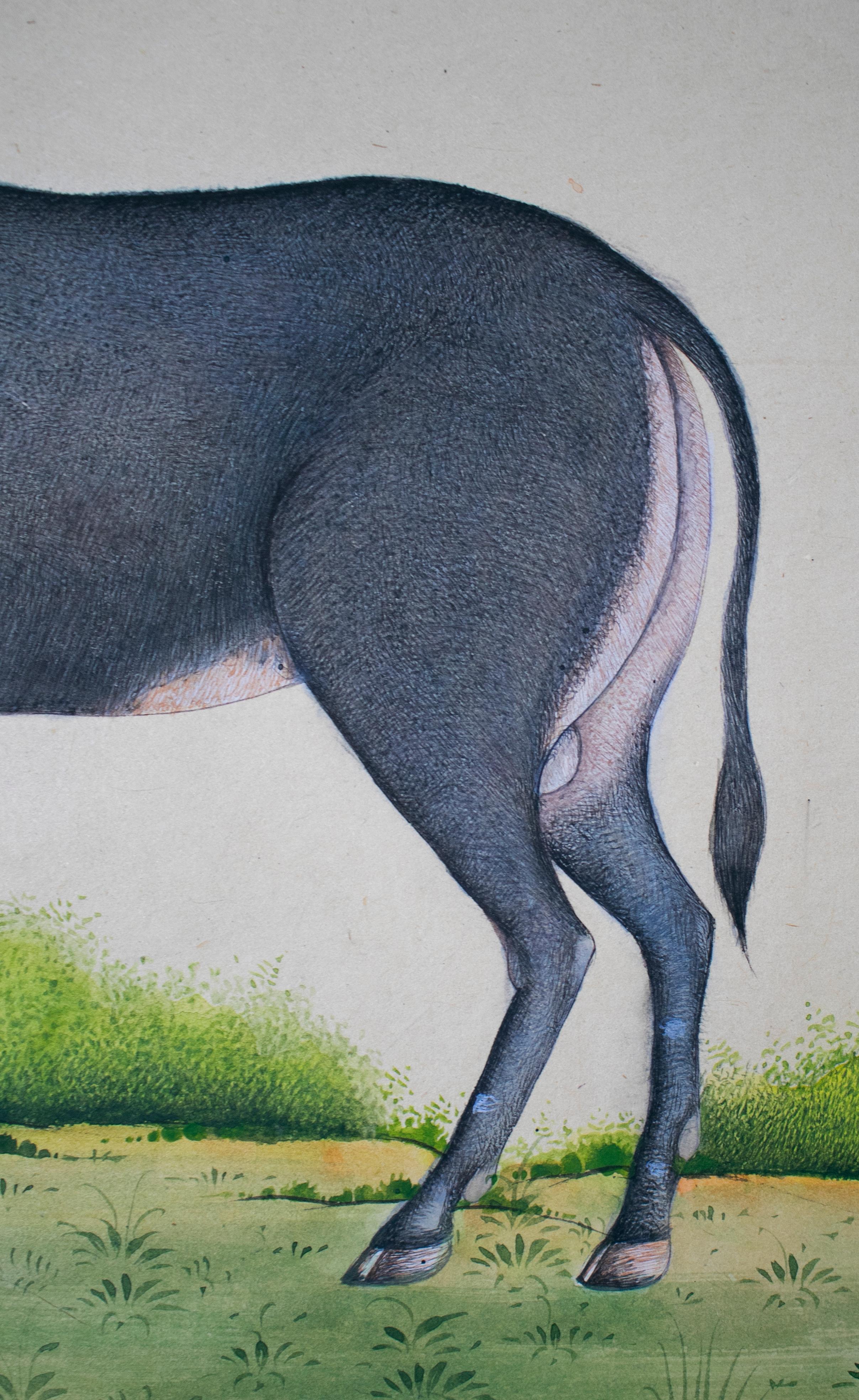 Papier dessin sur papier indien des années 1970 représentant une chèvre en vente