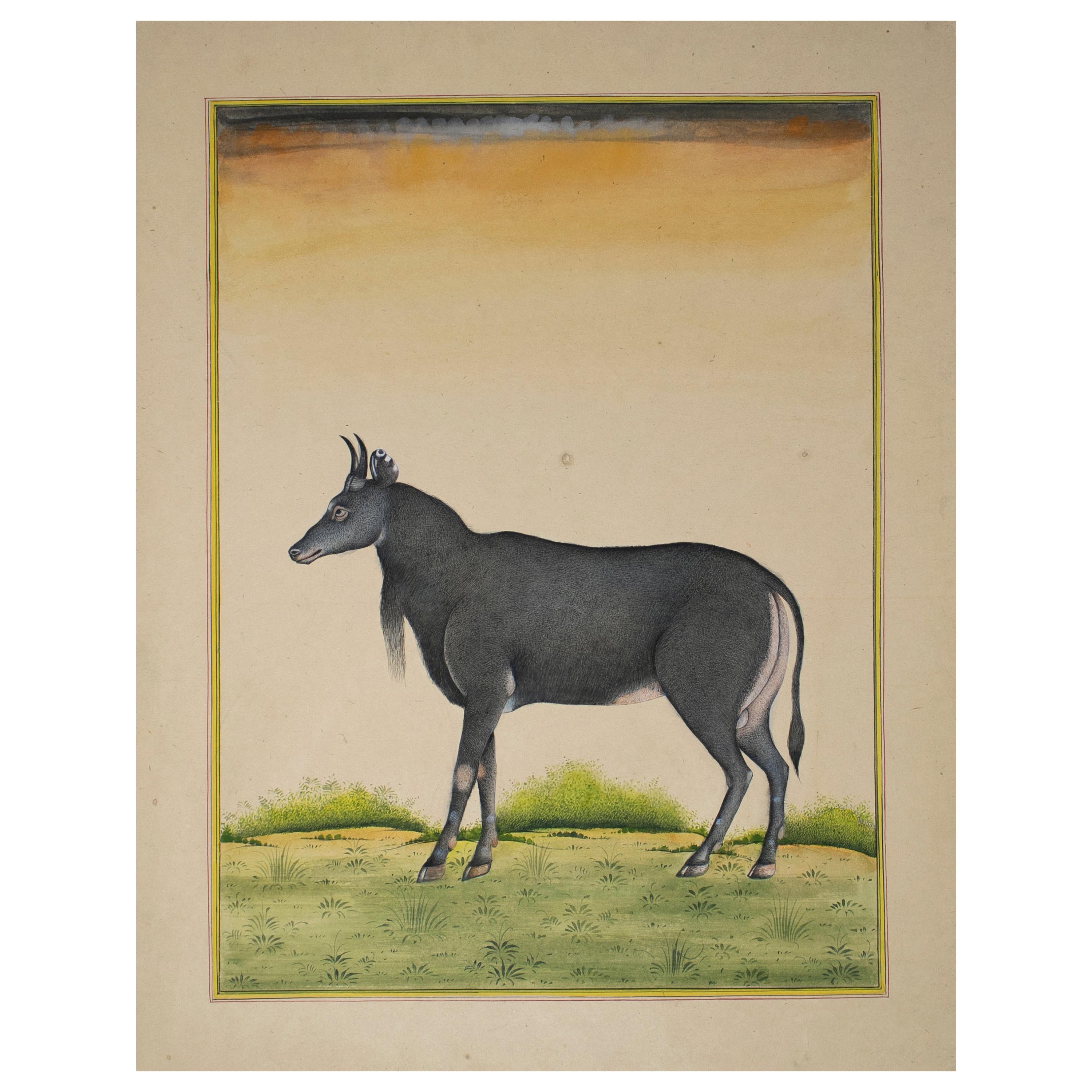 1970s Indian Paper Drawing of a Goat