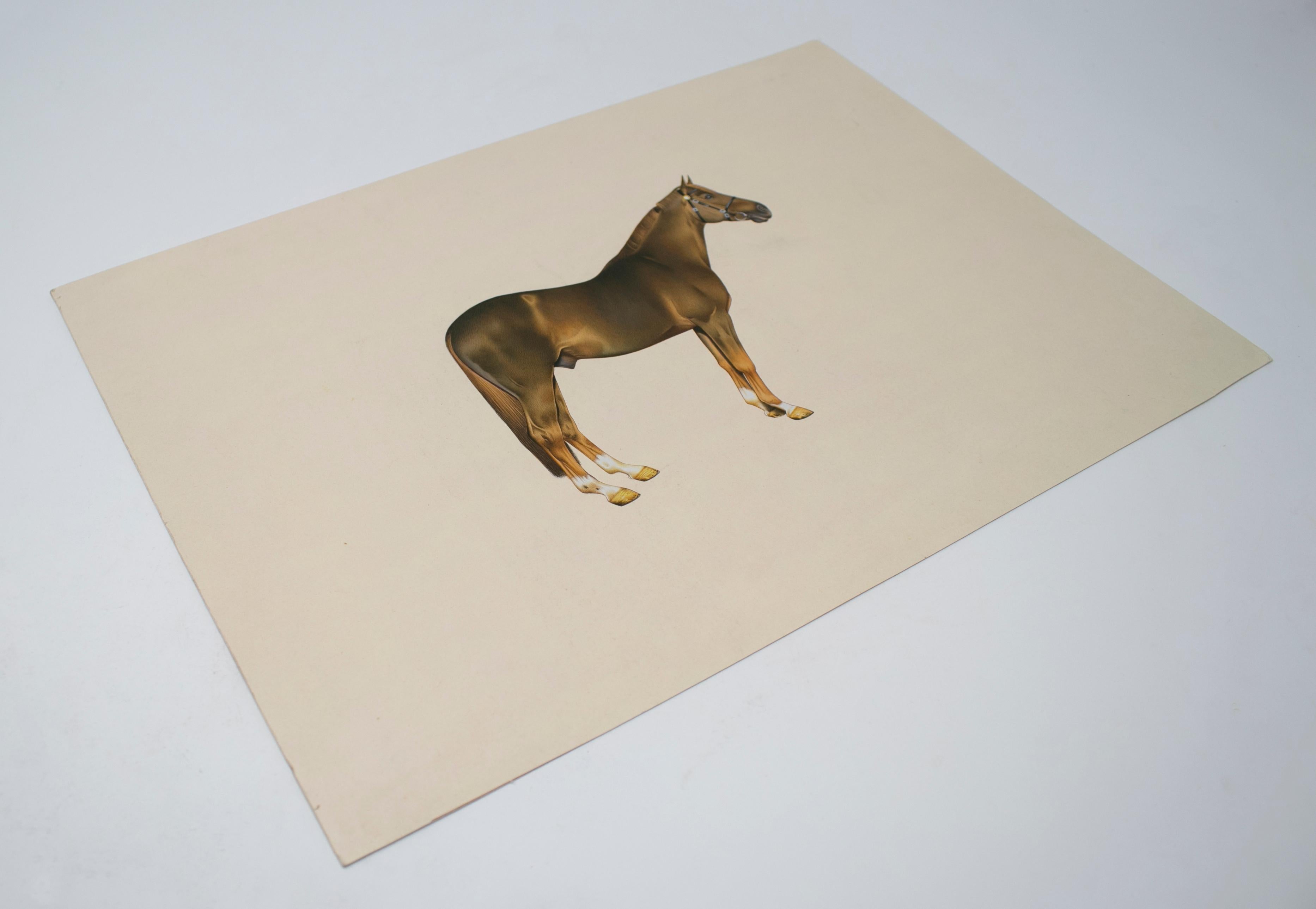 1970s Indian paper drawing of a horse. Part of a large private drawing collection.
 