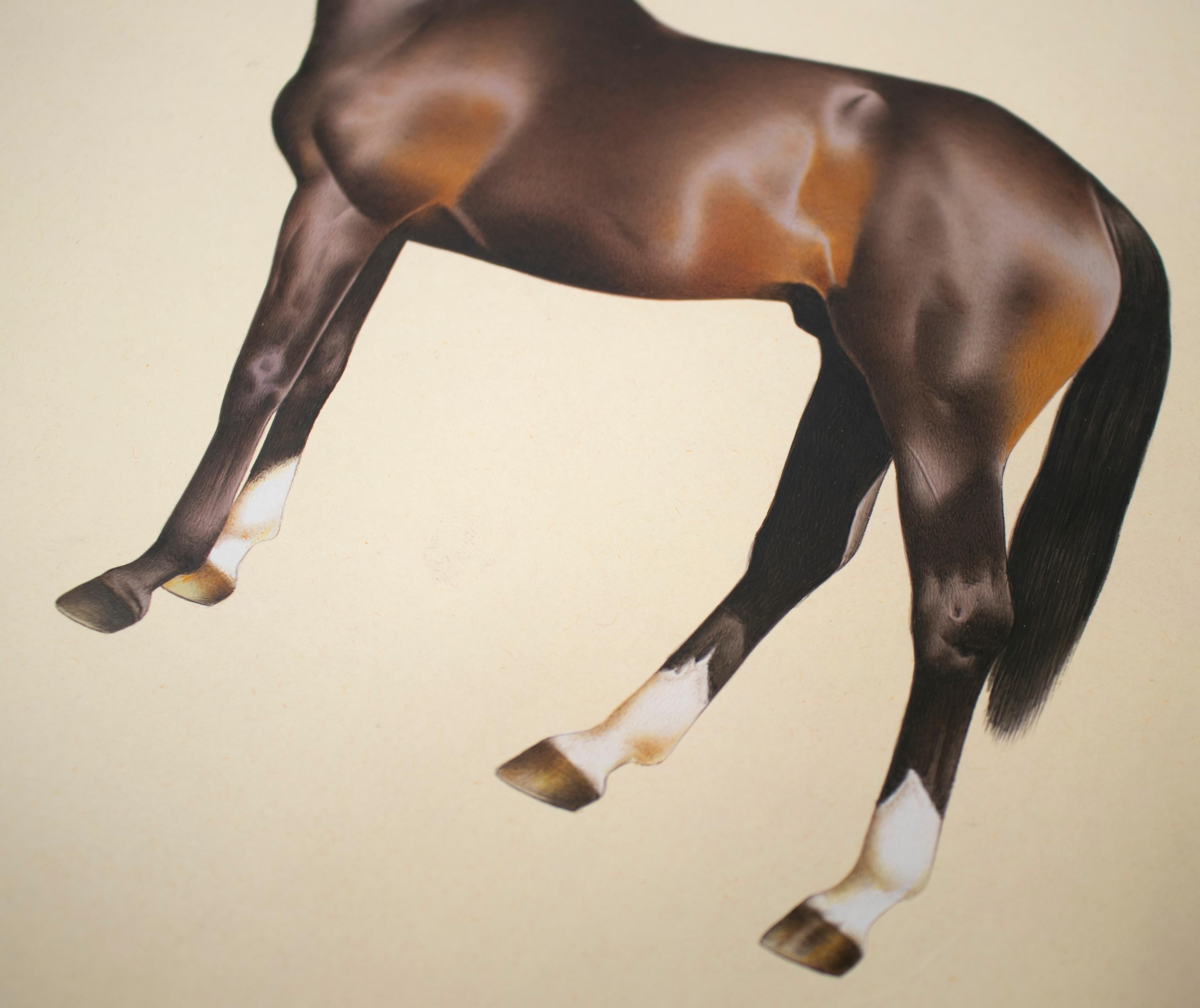 1970s Indian Paper Drawing of a Horse 1