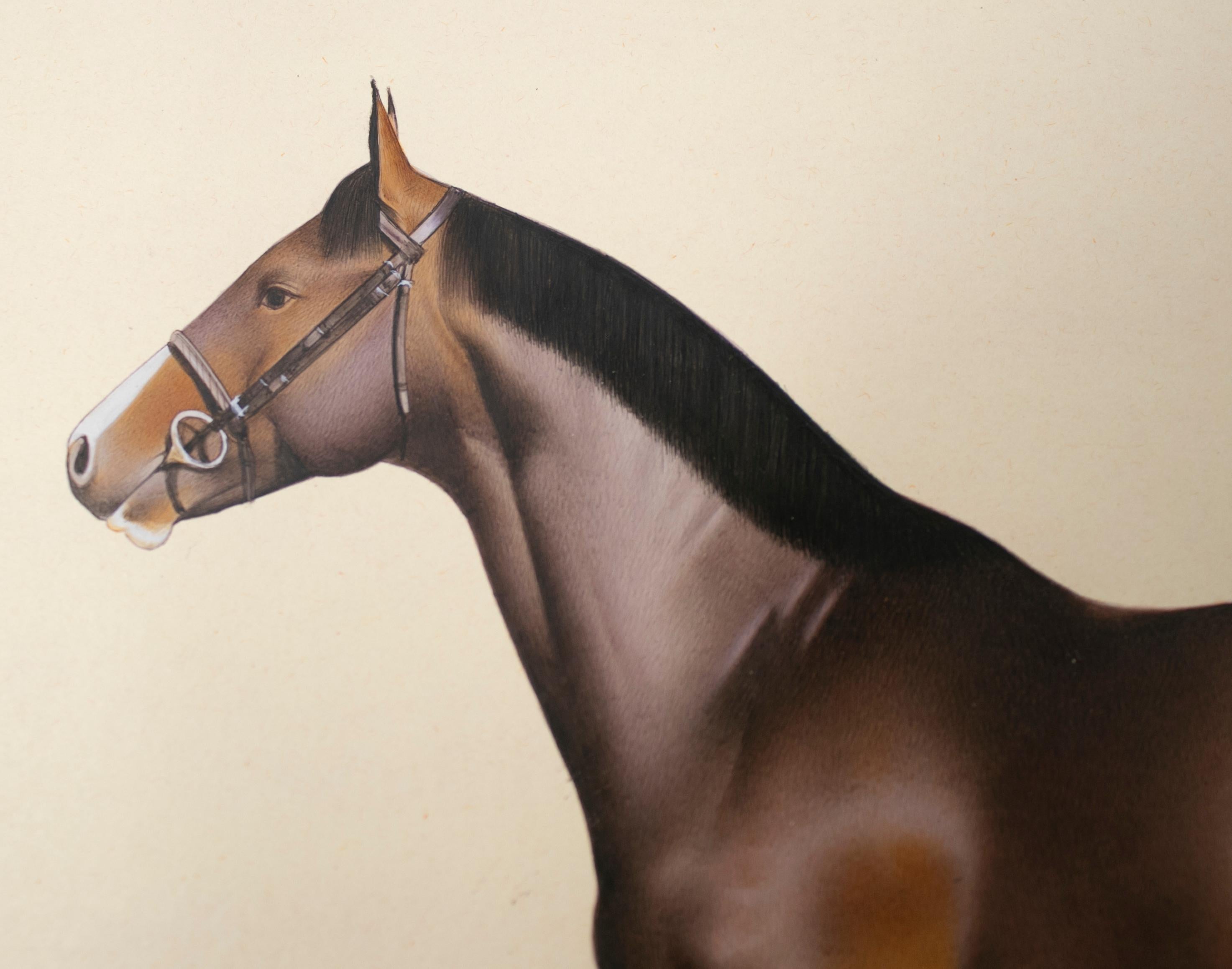 1970s Indian Paper Drawing of a Horse 2