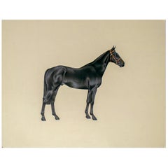 1970s Indian Paper Drawing of a Horse