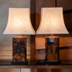 1970's Italian Pair of Tortoise Shell Table Lamps, Brass Details