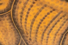 1970s Jaime Parlade Designer Hand Painting "Rhino"