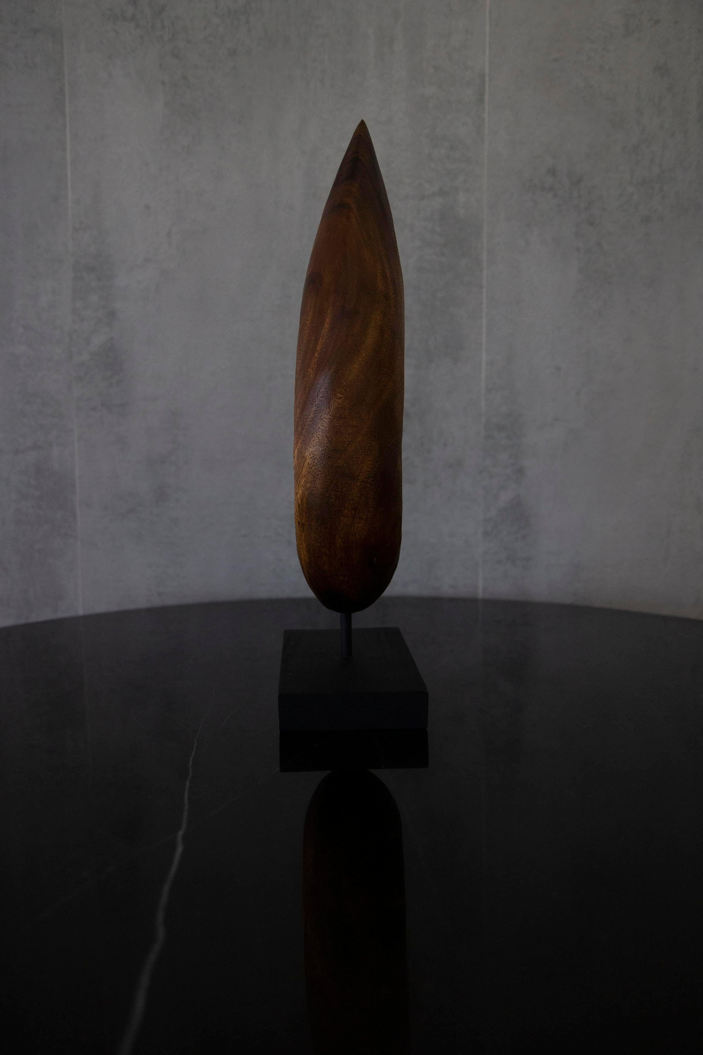Sculpture moderne en bois en forme de goutte d'eau avec une base en bois noir, sculpture contemporaine moderne qui attirera l'attention dans votre pièce. Une œuvre d'art d'une grande beauté.