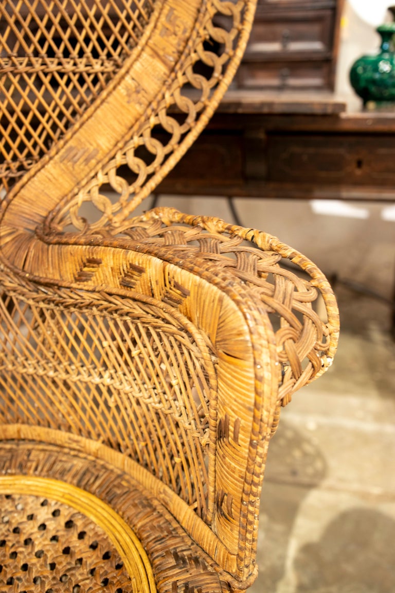 1970s Large Vintage Bohemian Emmanuelle / Peacock Wicker Chair For Sale ...