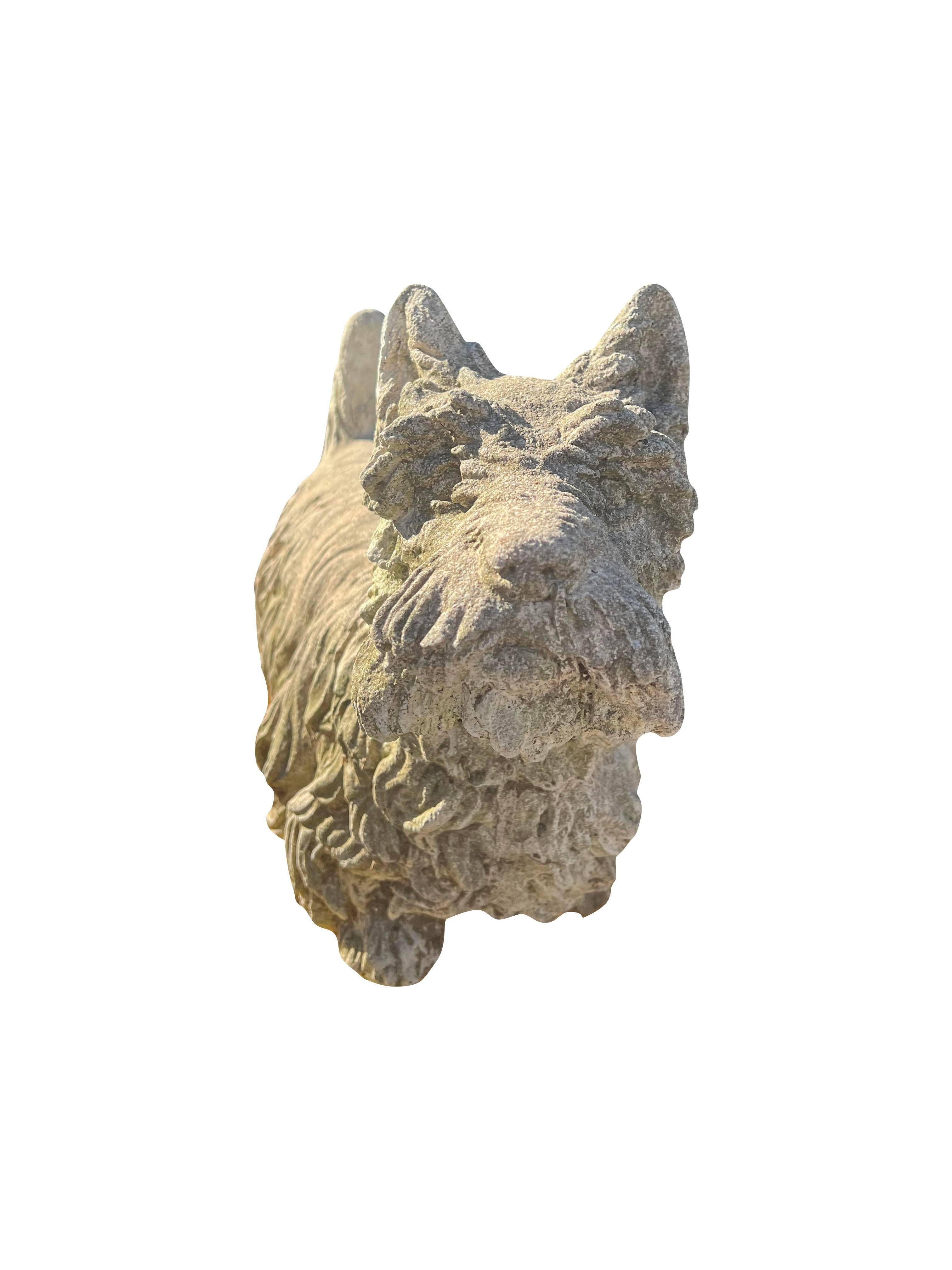 Grande statua di Terrier scozzese d'epoca in calcestruzzo

Un reperto vintage Majestic

Questa imponente statua vintage di Scottish Terrier in cemento è un'aggiunta straordinaria a qualsiasi spazio esterno. Le sue sculture dettagliate e il peso