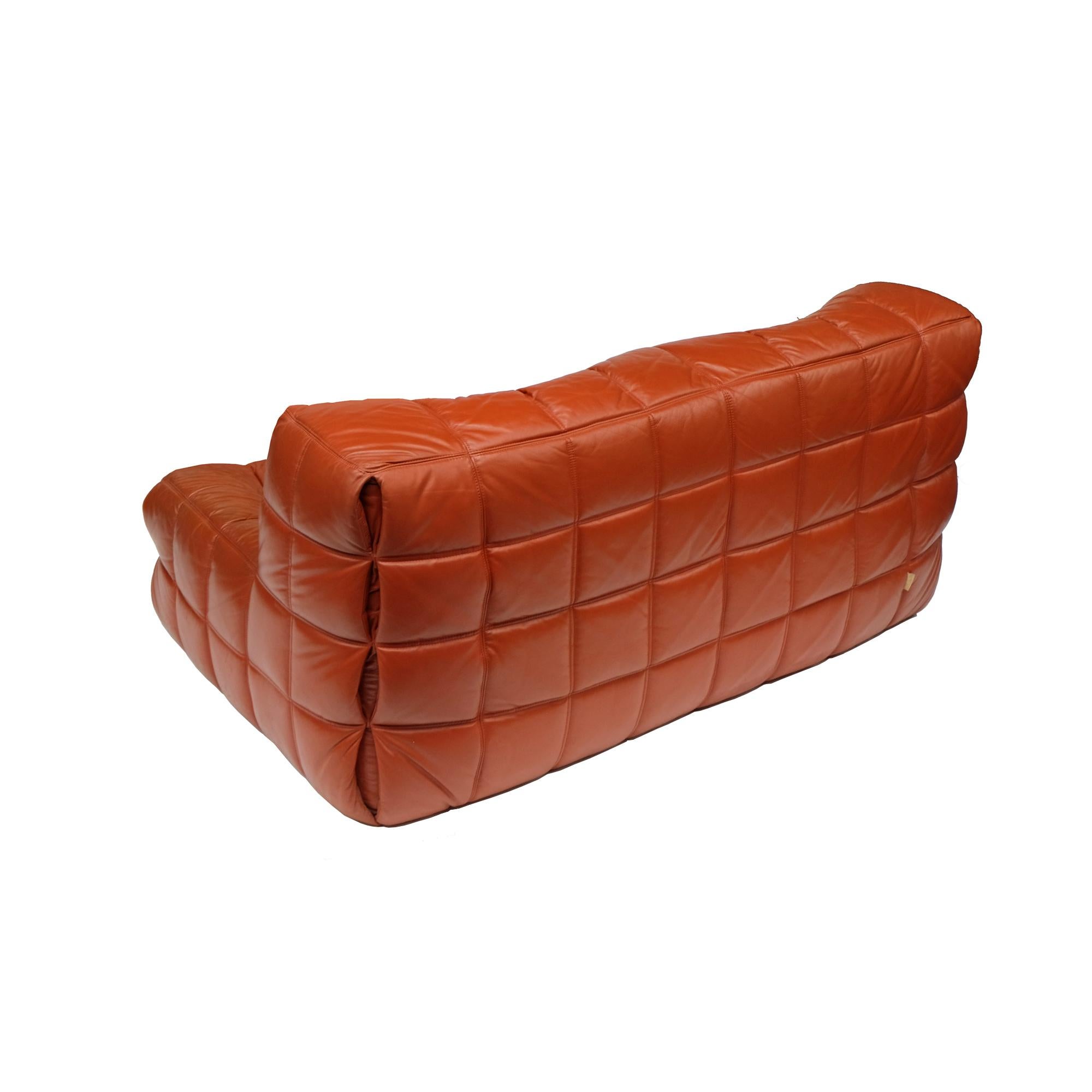 ligne roset leather sofa