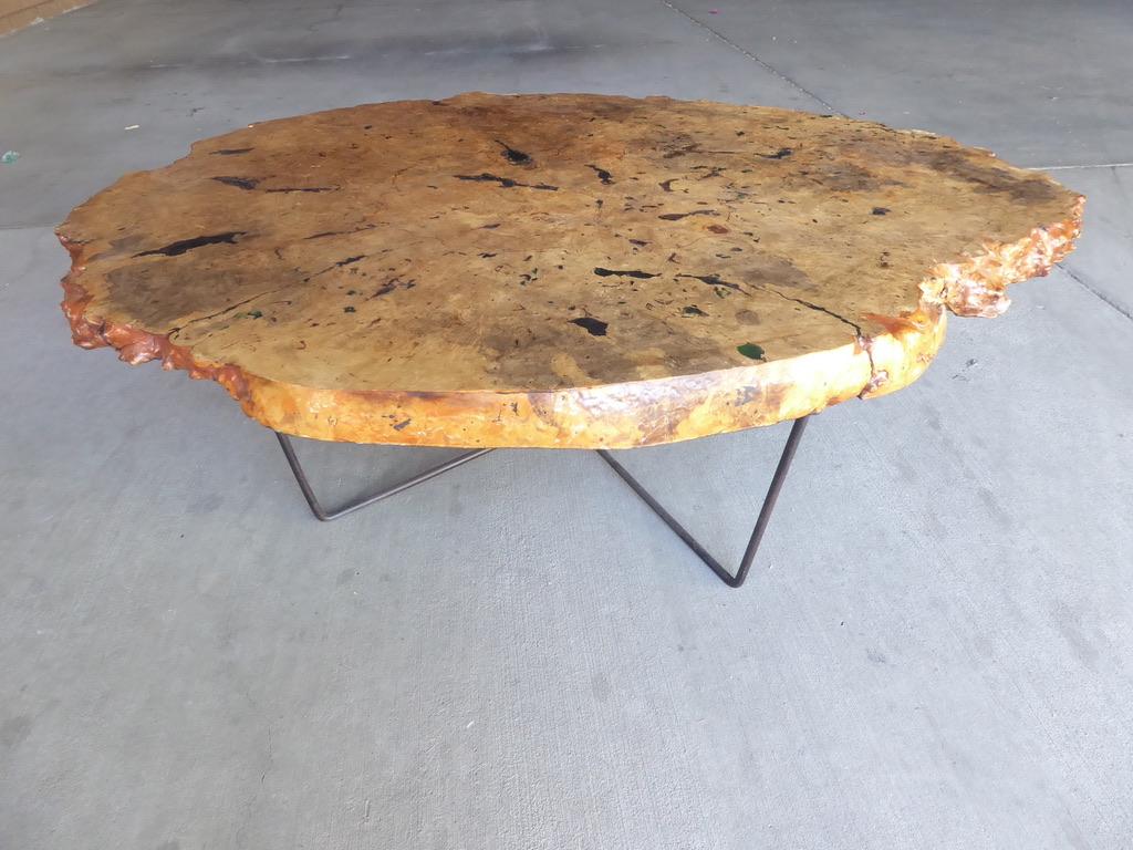 1970s Live-Edge Burled Maple Wood Coffee Table with Metal Legs 5