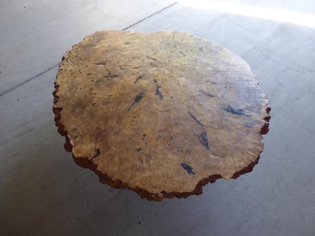 1970s Live-Edge Burled Maple Wood Coffee Table with Metal Legs In Good Condition In Palm Springs, CA
