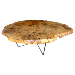 1970s Live-Edge Burled Maple Wood Coffee Table with Metal Legs