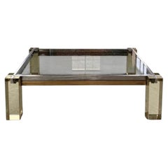 1970s Lucite, Brass, Chrome, Glass Coffee Table by Sandro Petti, Italy