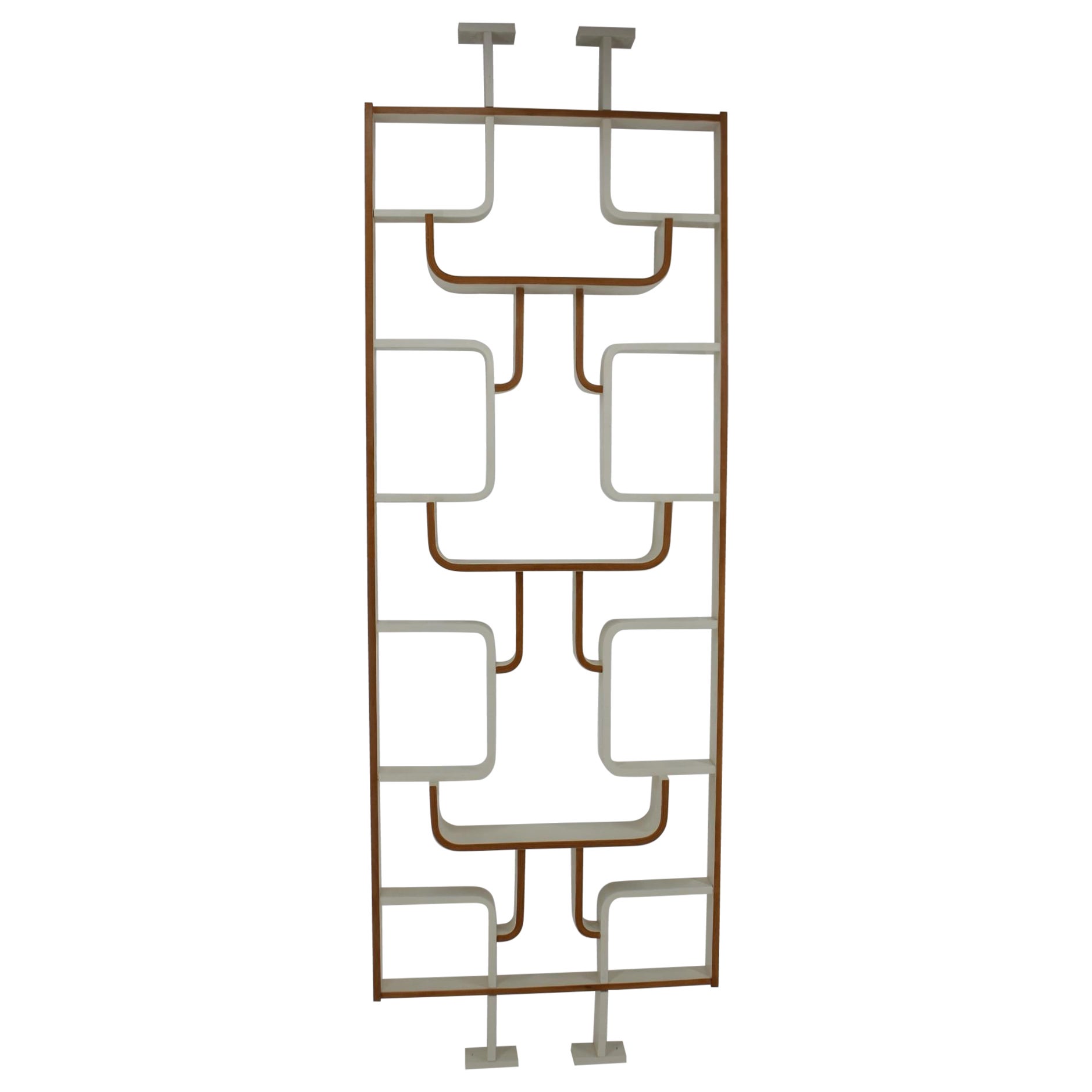 1970s Ludvik Volak Room Divider by Dřevopodnik Holešov, Czechoslovakia
