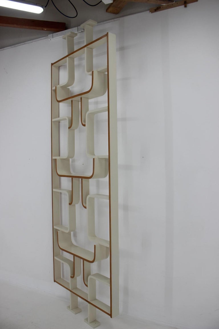 1970s Ludvik Volak Room Divider by Dřevopodnik Holešov, Czechoslovakia ...