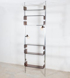 1970s Michel Ducaroy Lucite Shelving Unit