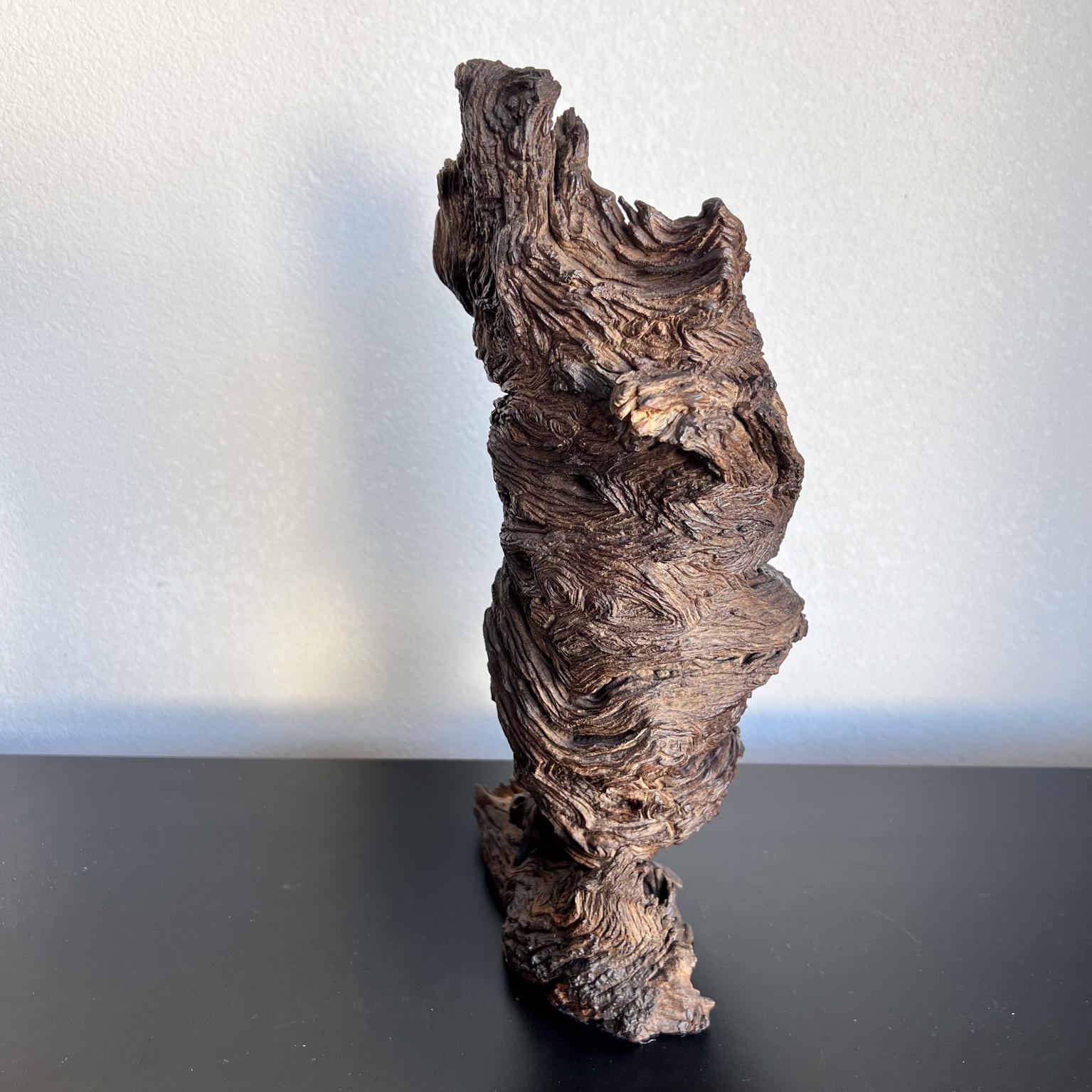 1970s Arte Moderno Madera Escultura Raíz Forma Orgánica siglo XX en venta