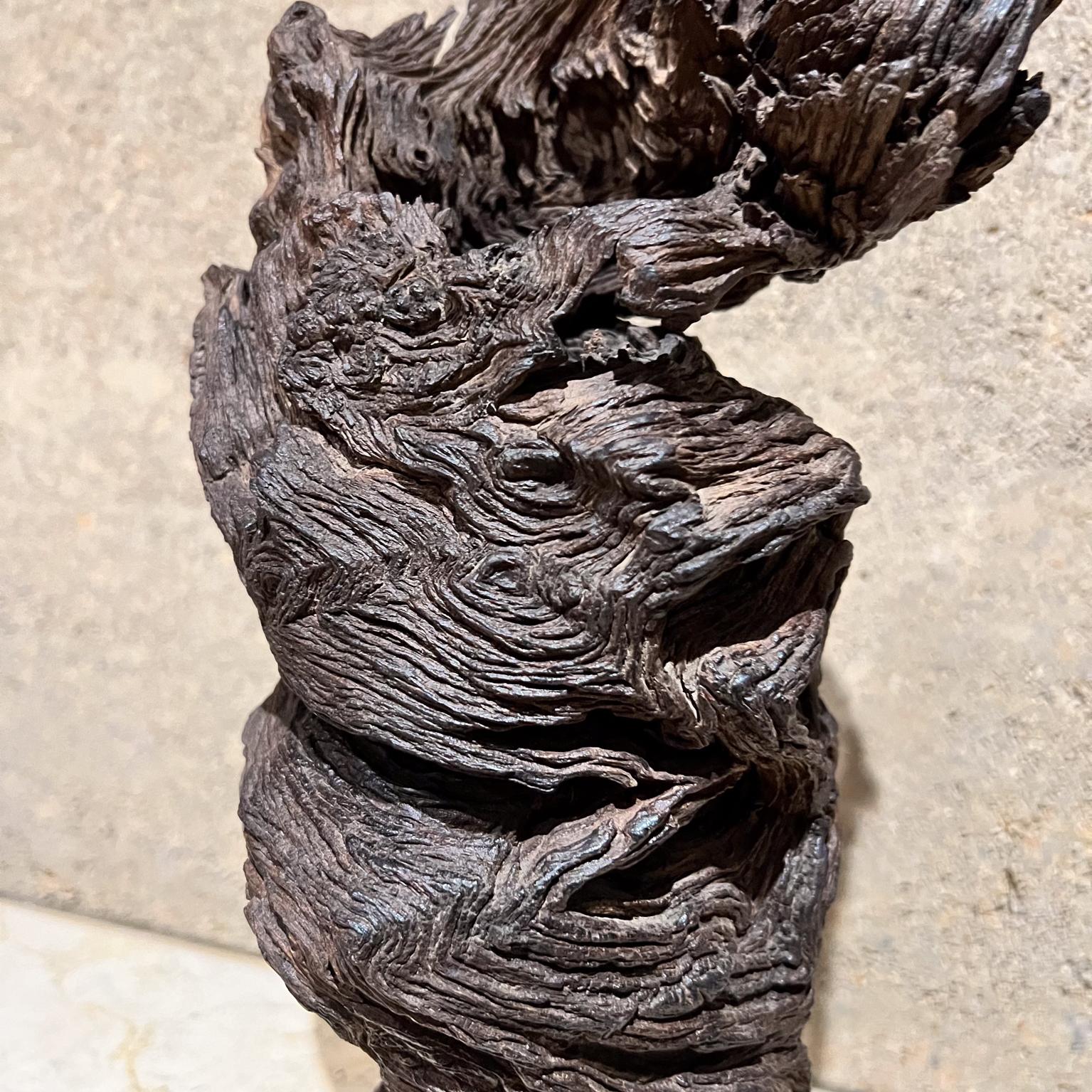 1970s Arte Moderno Madera Escultura Raíz Forma Orgánica en venta 5