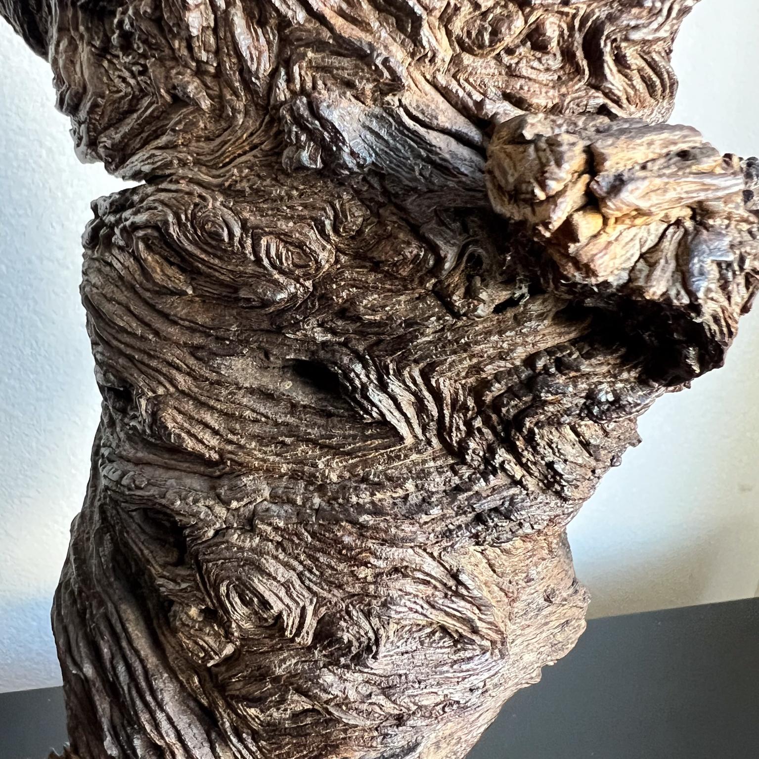 1970s Arte Moderno Madera Escultura Raíz Forma Orgánica en venta 1