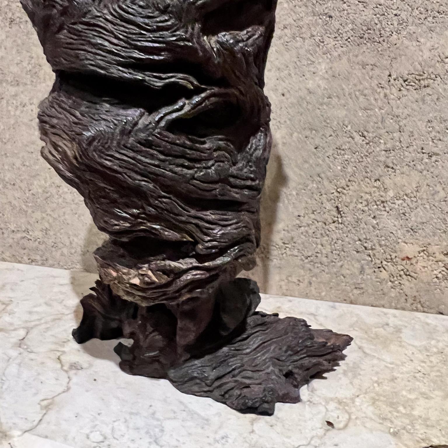 1970s Arte Moderno Madera Escultura Raíz Forma Orgánica en venta 6