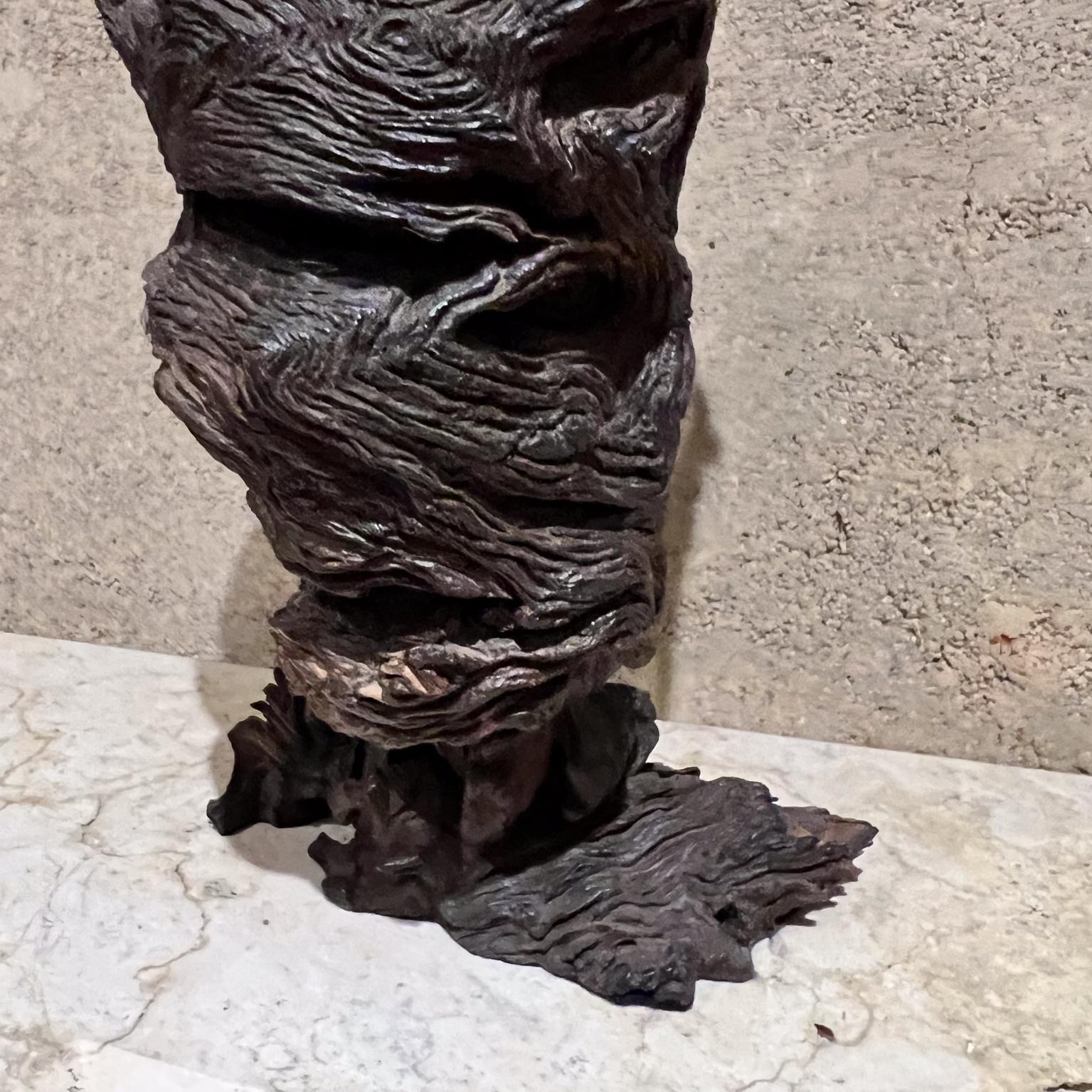 1970s Arte Moderno Madera Escultura Raíz Forma Orgánica en venta 7