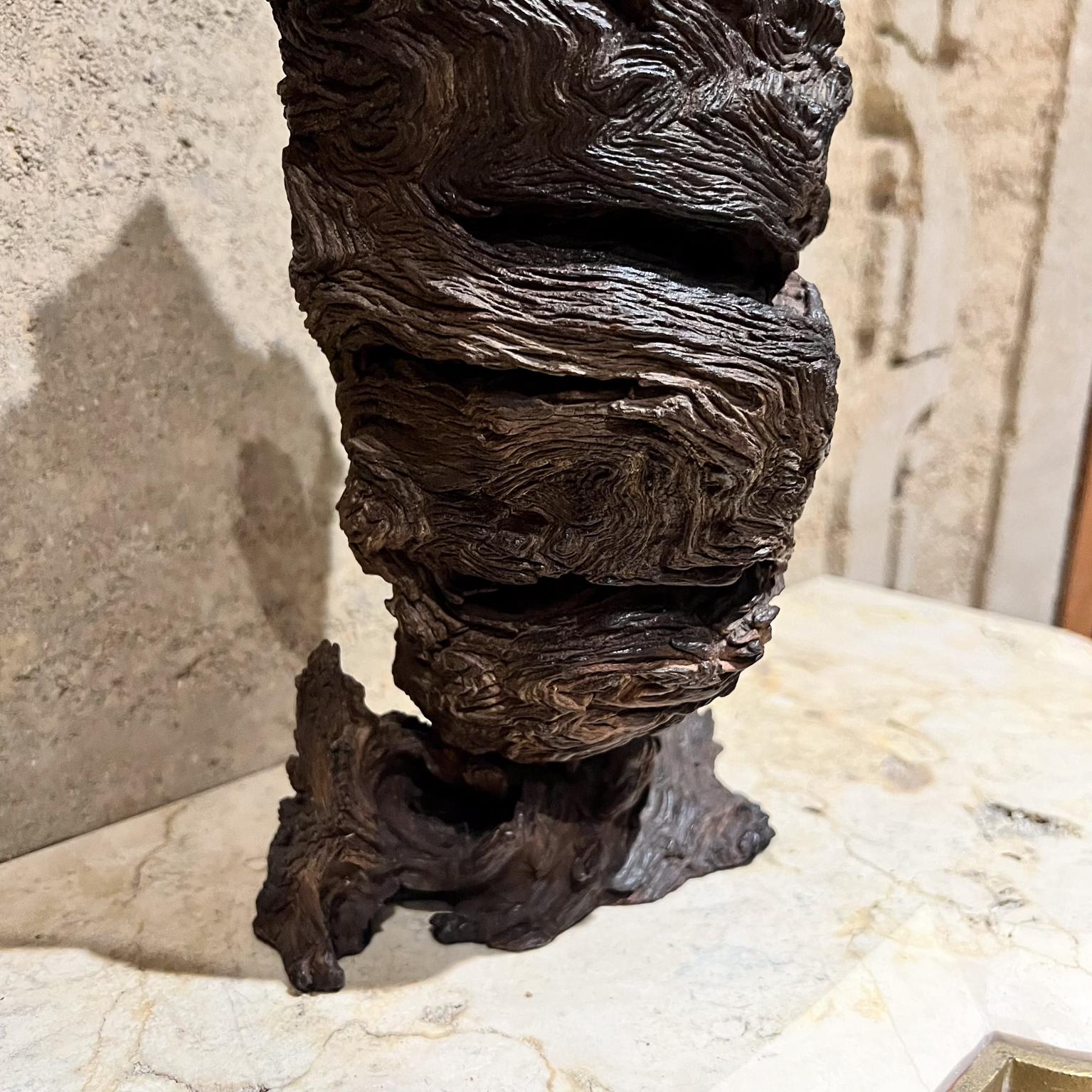 1970s Arte Moderno Madera Escultura Raíz Forma Orgánica en venta 8