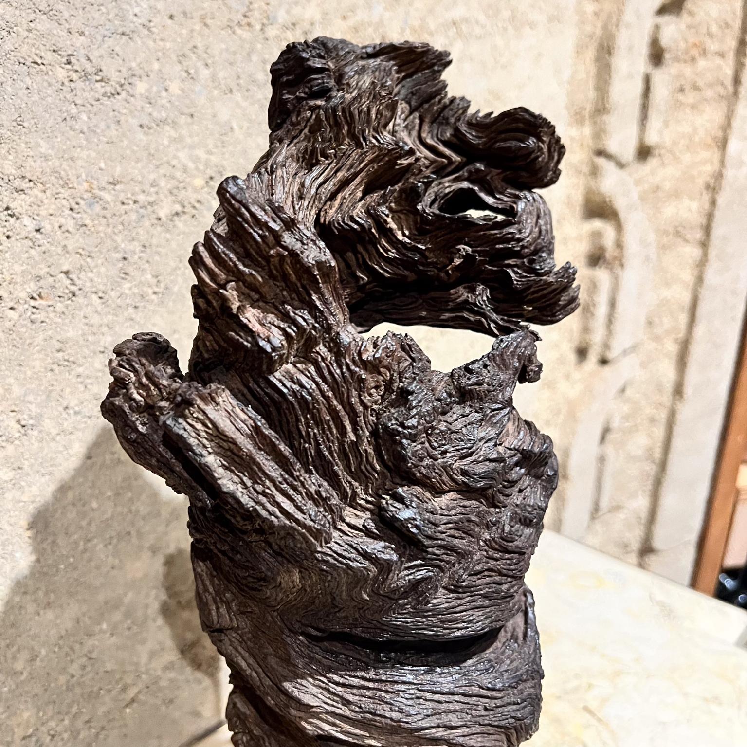 1970s Arte Moderno Madera Escultura Raíz Forma Orgánica en venta 9