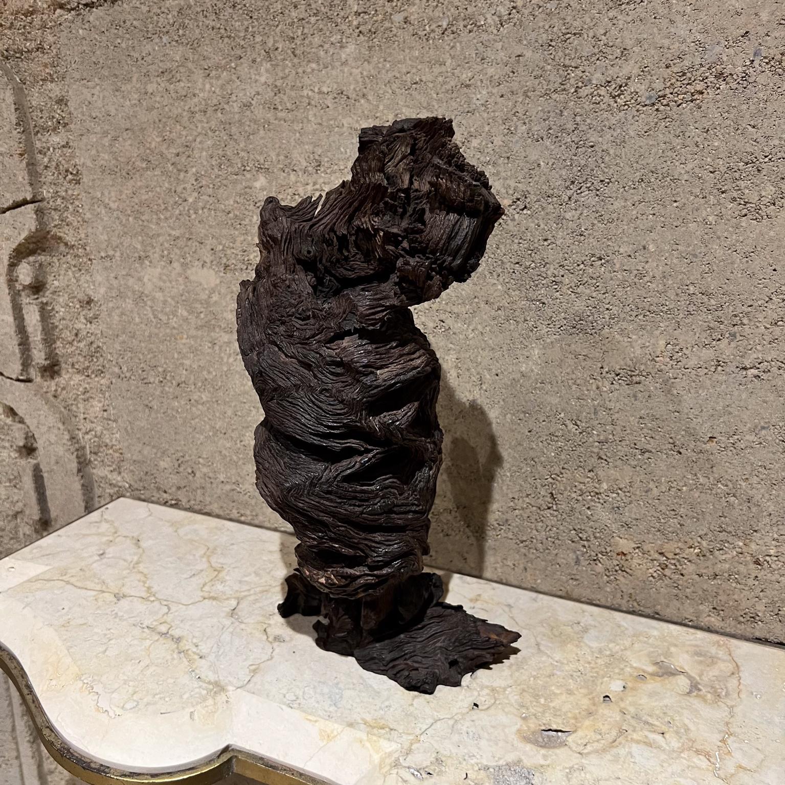 1970s Arte Moderno Madera Escultura Raíz Forma Orgánica Moderno de mediados de siglo en venta