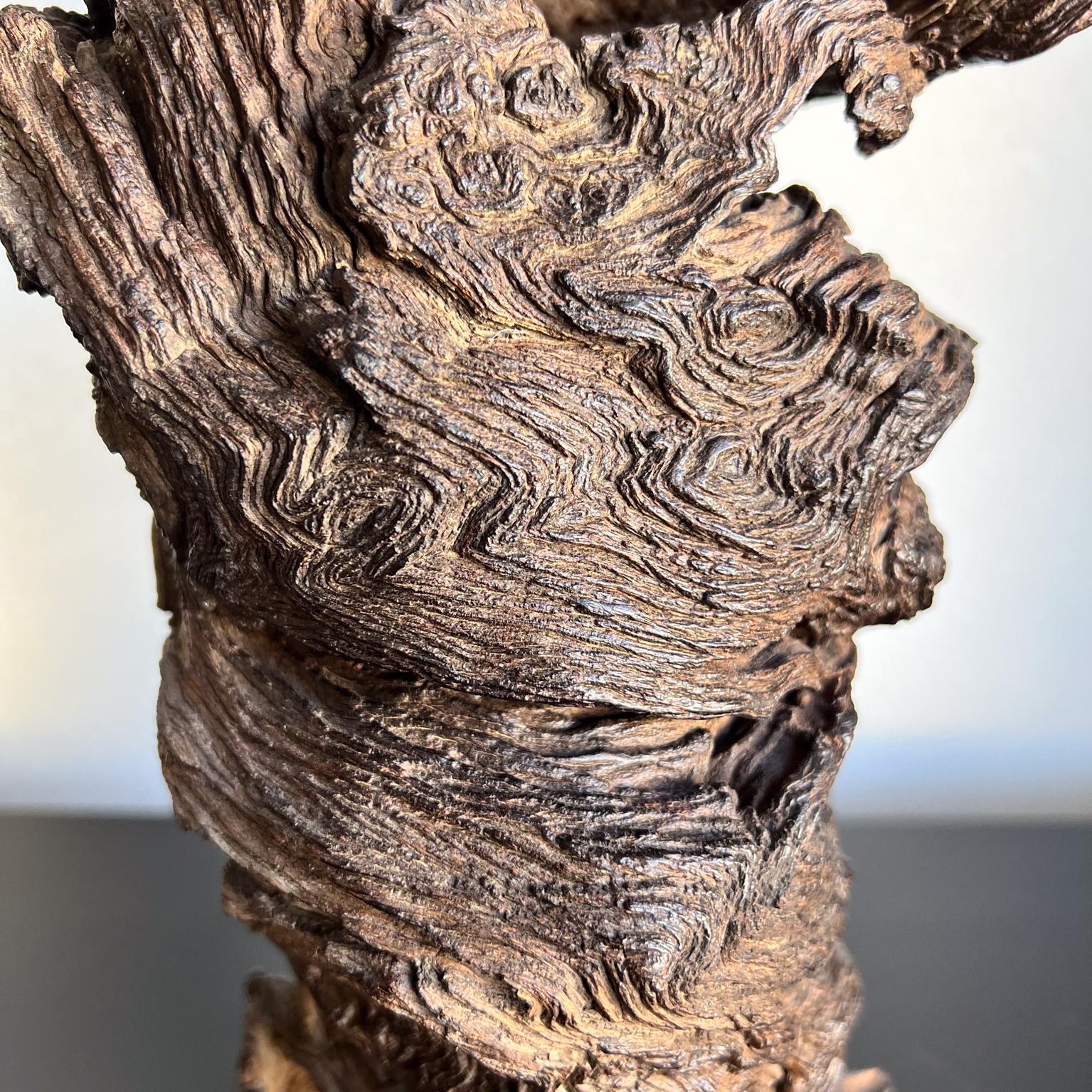 Forma Orgánica Escultura de Raíz de Madera
7,5 ancho x 4,75 fondo x 13,75 alto
Original vintage
Consulta las imágenes de la lista