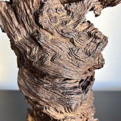 1970s Modern Art Wood Root Sculpture Organic Form