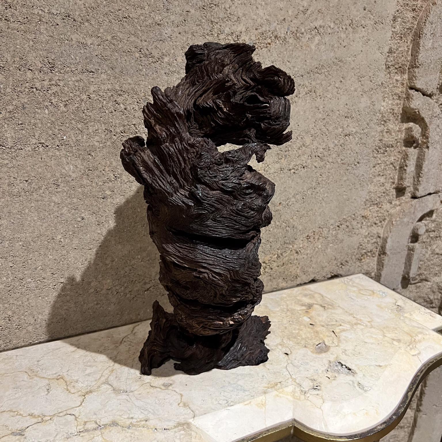 1970s Arte Moderno Madera Escultura Raíz Forma Orgánica en venta 2