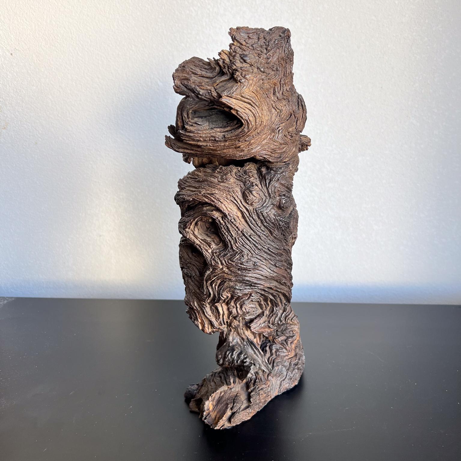 1970s Arte Moderno Madera Escultura Raíz Forma Orgánica en Bueno estado para la venta en Chula Vista, CA