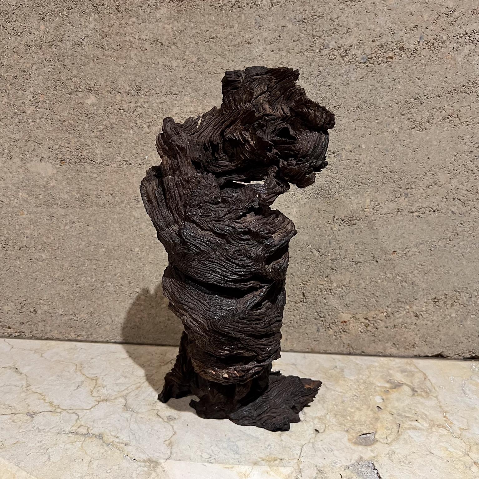 1970s Arte Moderno Madera Escultura Raíz Forma Orgánica en venta 3