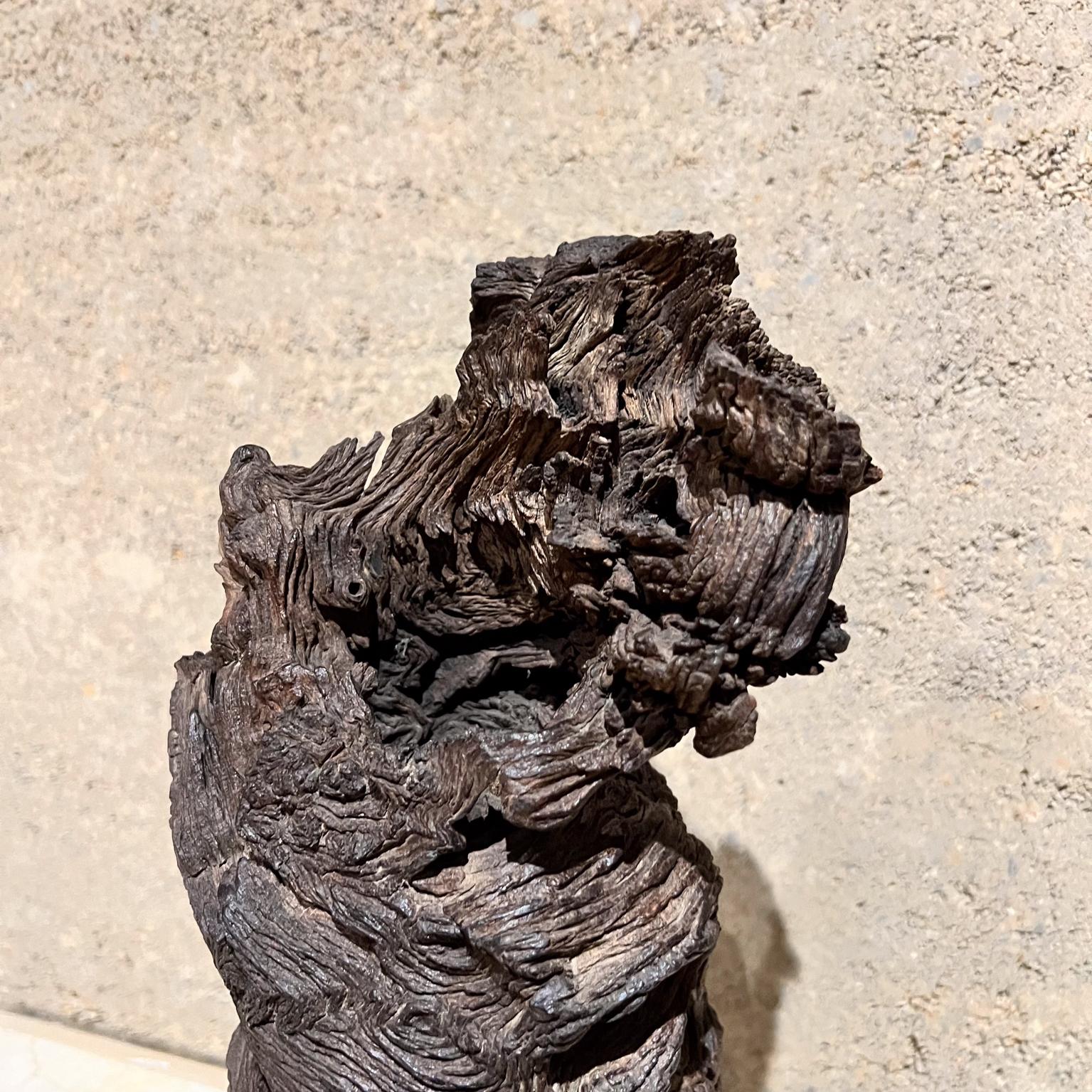1970s Arte Moderno Madera Escultura Raíz Forma Orgánica en venta 4