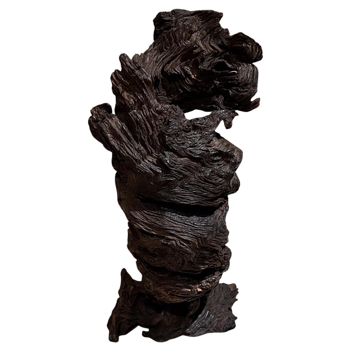 1970s Modern Art Wood Root Sculpture Organic Form