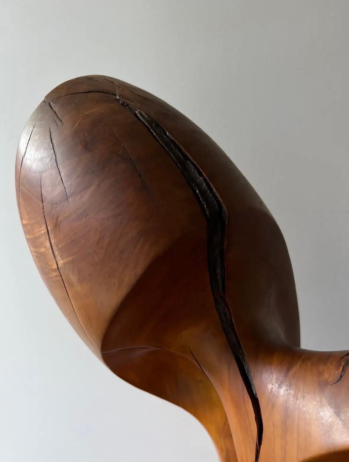 Scultura in legno a forma libera modernista degli anni '70 in Wood In condizioni buone in vendita a Southampton, NJ