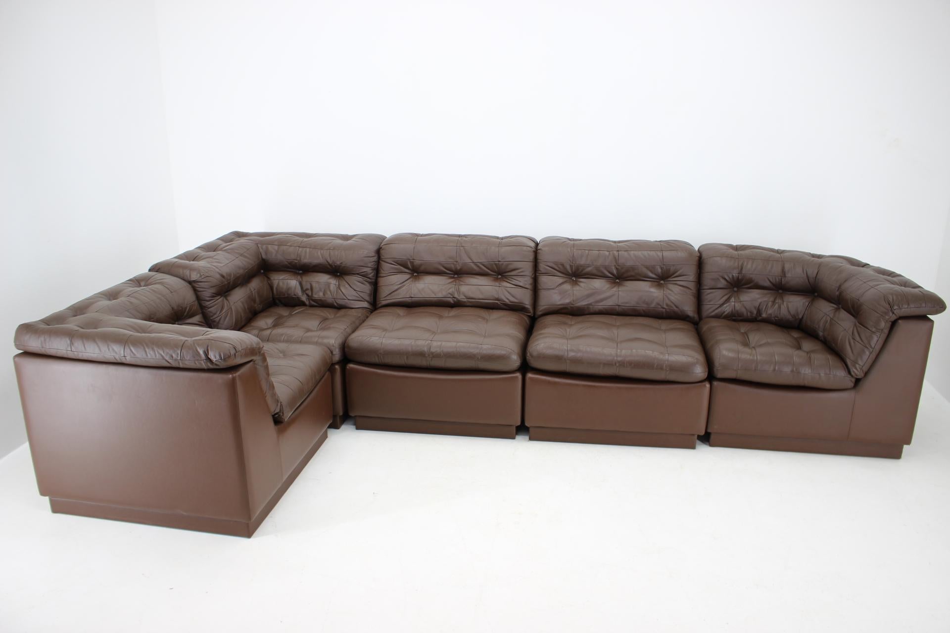 Danish 1970s Modular Sofa in Brown Leather, Germany