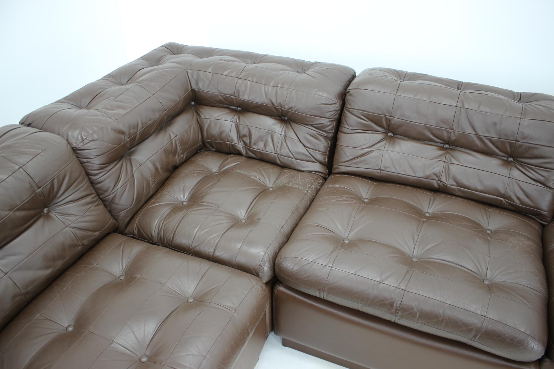 Late 20th Century 1970s Modular Sofa in Brown Leather, Germany