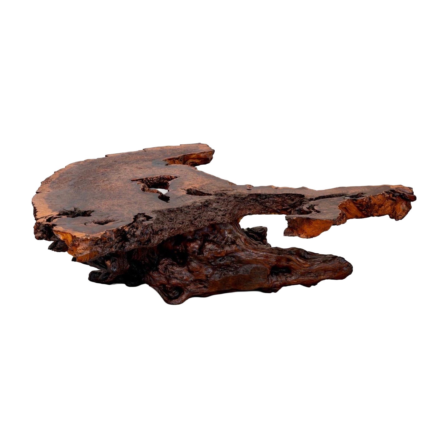 1970s Monumental Redwood Burl Live Edge Sculptural Coffee Table For Sale