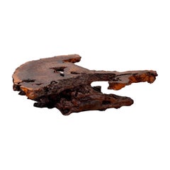 1970s Monumental Redwood Burl Live Edge Sculptural Coffee Table