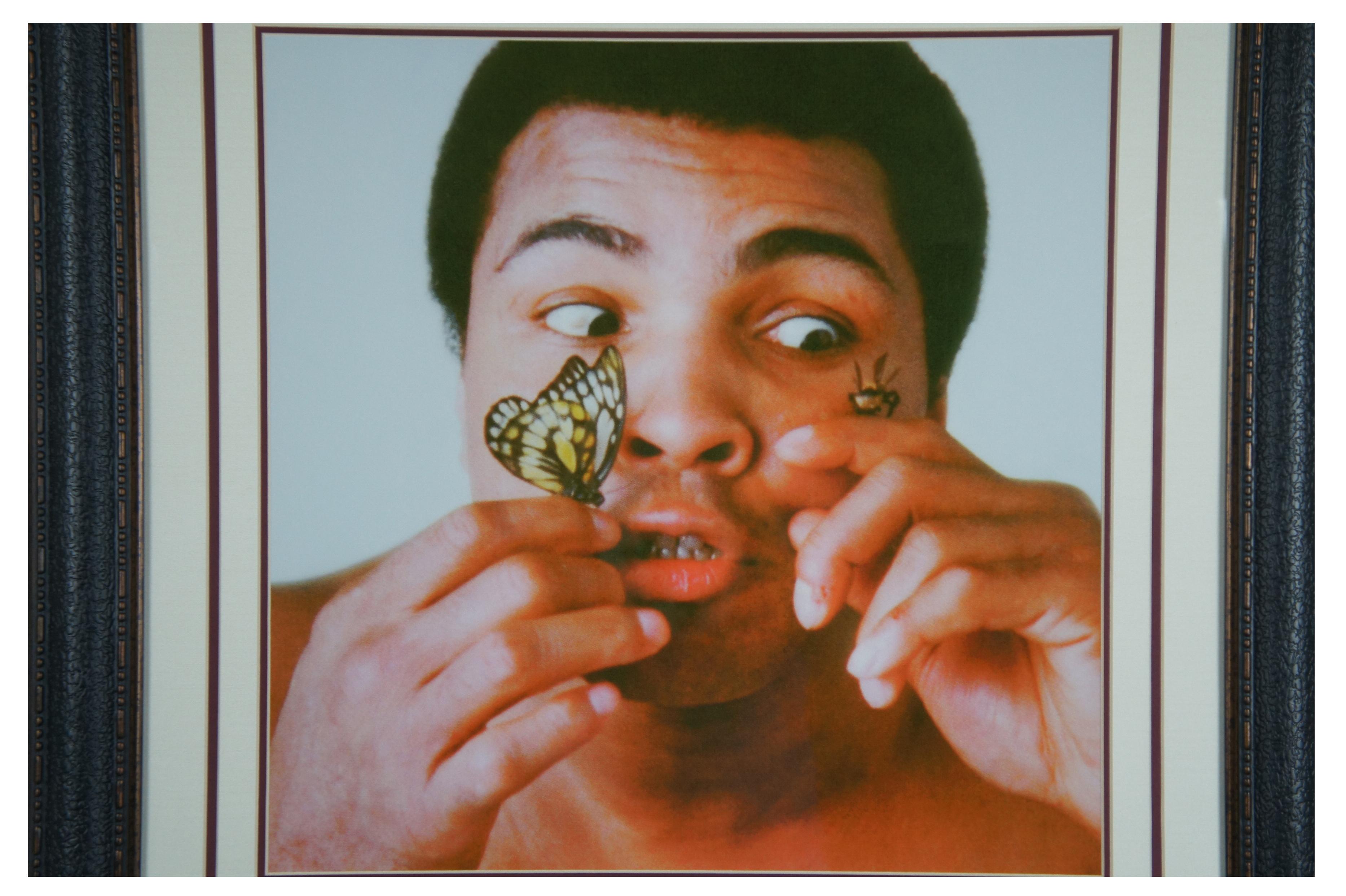 muhammad ali butterfly bee