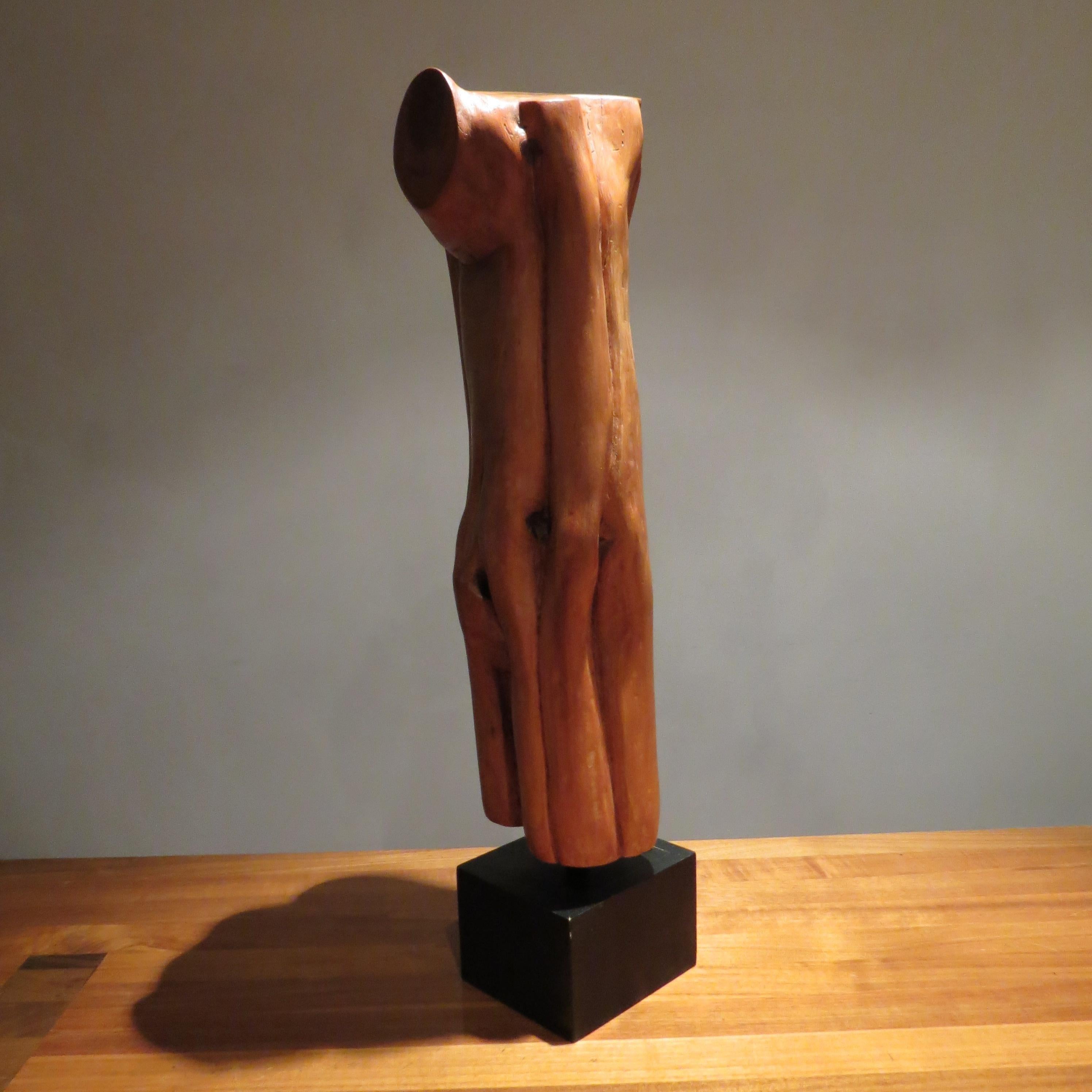 Fait main Sculpture naturaliste en bois d'if des années 1970
