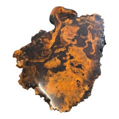 1970s Organic Burl Wood Live Edge Coffee Table with Sculptural Root Base