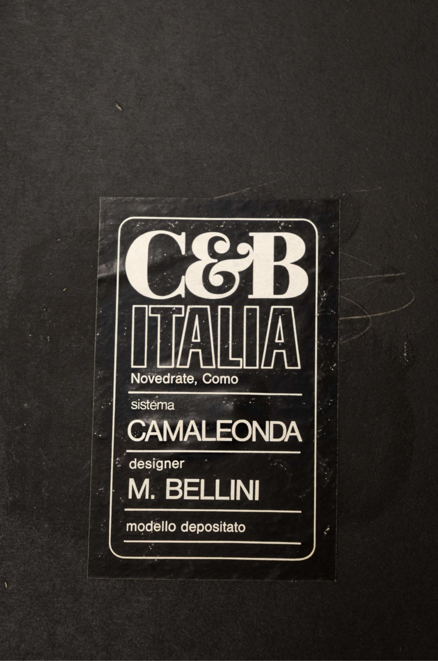 1970s Original Camaleonda Sofa by Mario Bellini For Sale 8