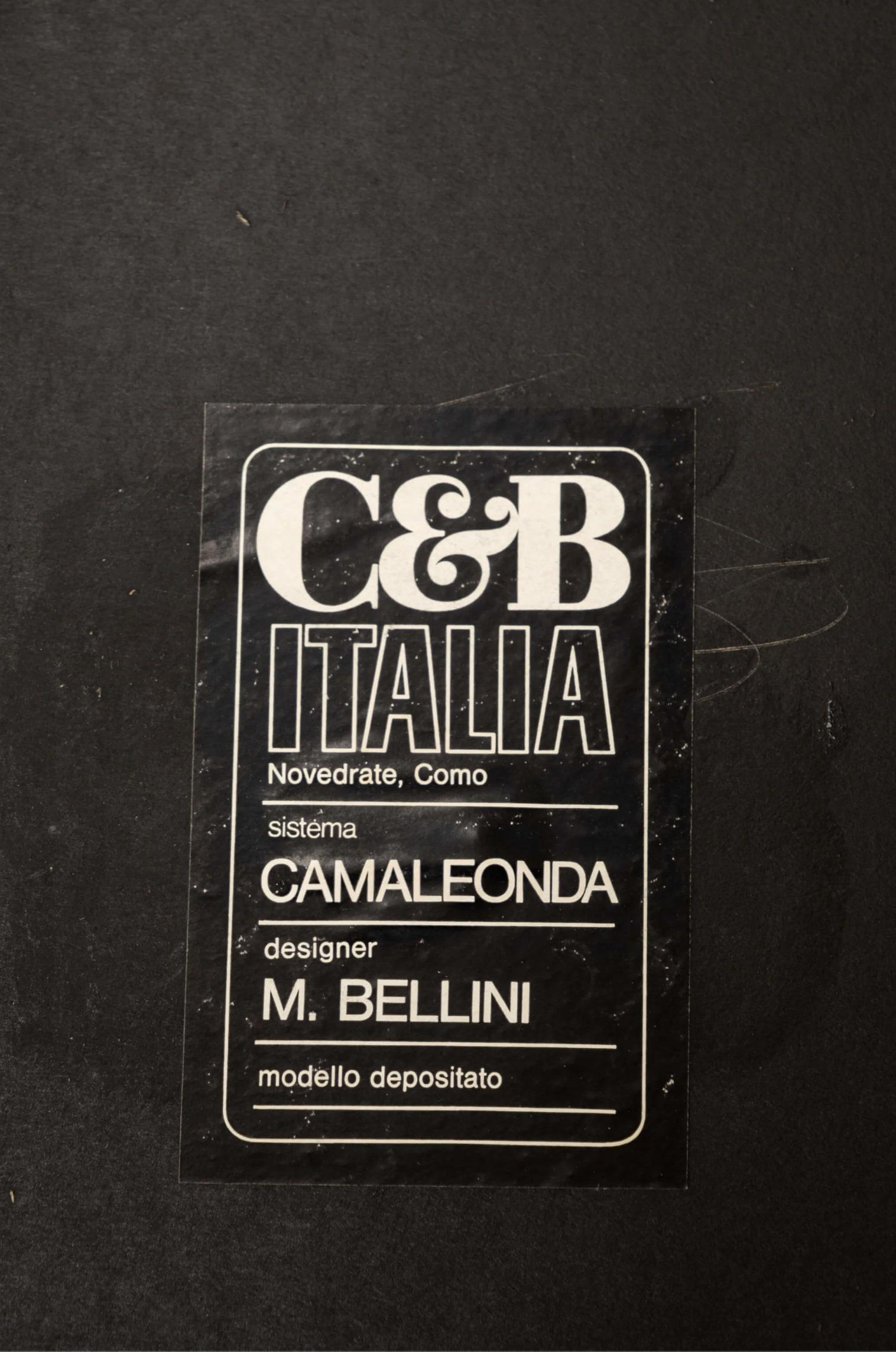 1970s Original Camaleonda Sofa by Mario Bellini 7