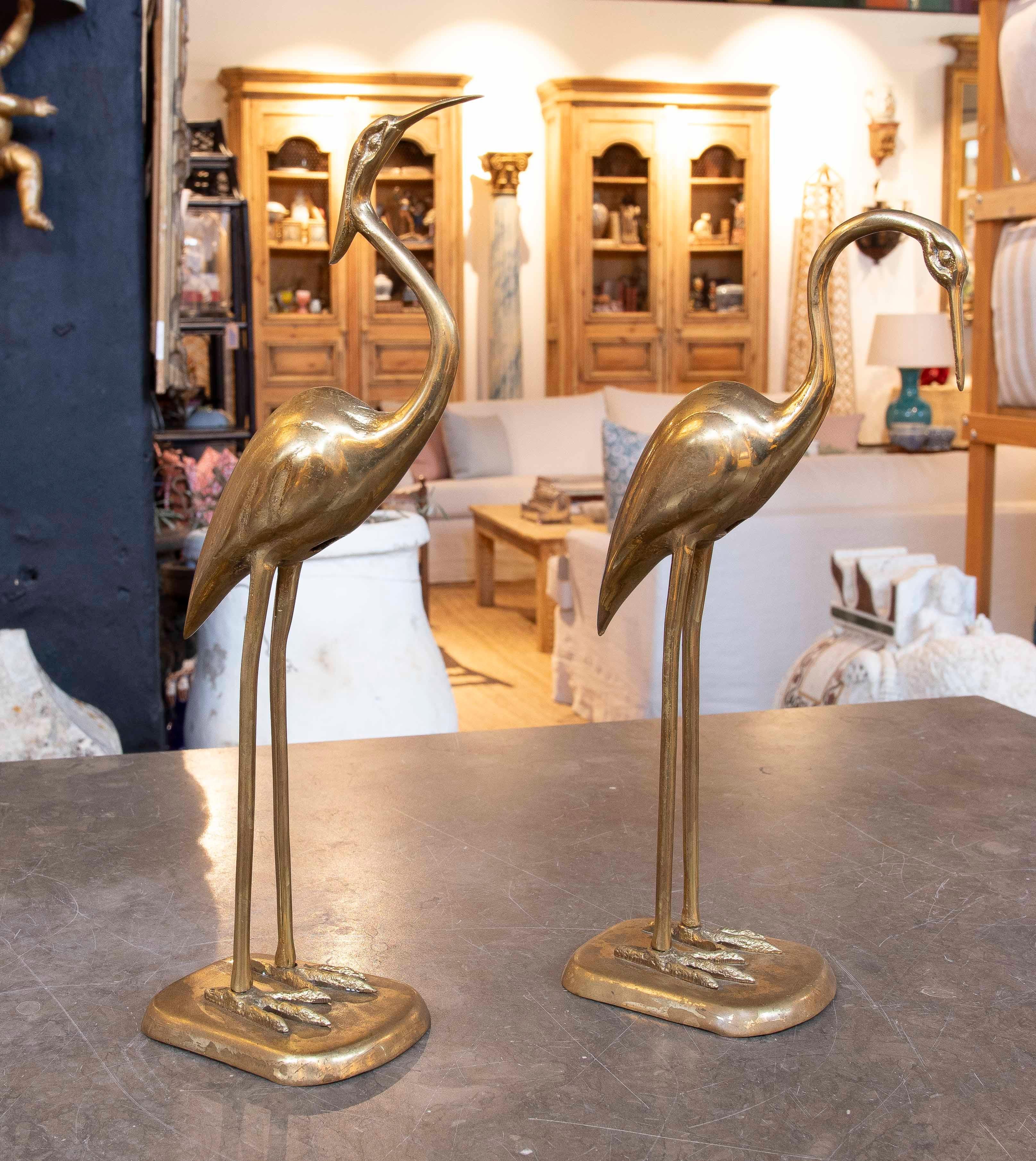Coppia di sculture decorative a forma di aironi, realizzate in ottone con finitura lucida. Questi pezzi si distinguono per il loro design stilizzato e minimalista, con linee eleganti che catturano l'essenza di questi uccelli a riposo. Ideale per